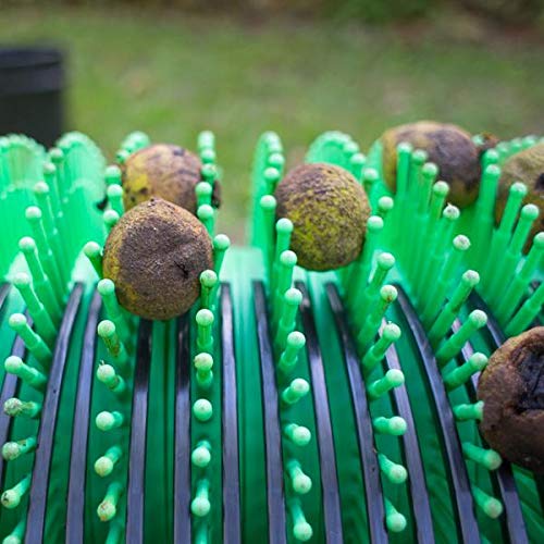 Bag-A-Nut 18” Push Black Walnut Harvester Nut Picker Upper - Small (Nuts 1 1/2" to 2")