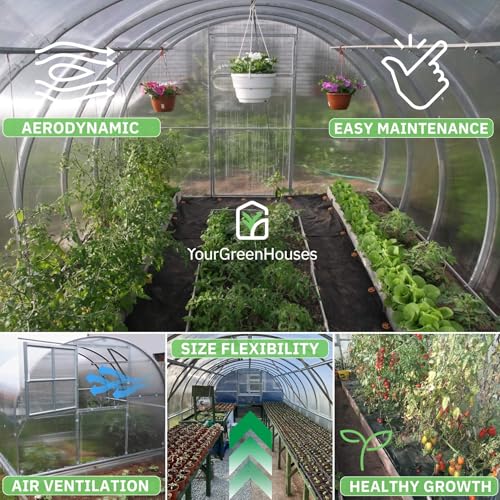 YourGreenHouses Polycarbonate Greenhouse Tunnel Clear 10x26 FT