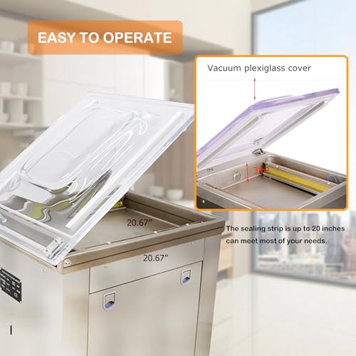 HayWHNKN Single Chamber Vacuum Packaging Machine 20inch Sealing Bar Silver