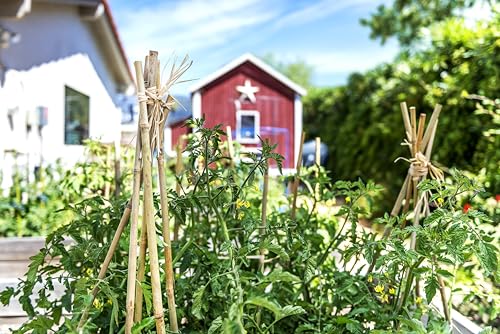 SuperMoss Bamboo Plant Stakes 24” Natural 1,000Pk