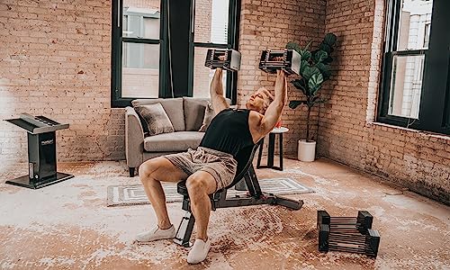 POWERBLOCK Elite USA 90 Pound Adjustable Dumbbells Gray