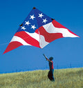 Premier Kites 19ft Patriotic Delta Kite USA