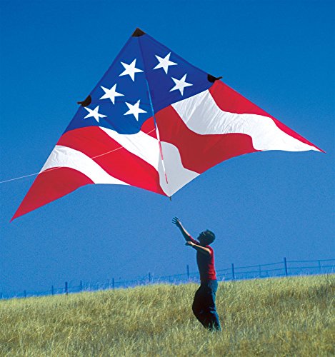 Premier Kites 19ft Patriotic Delta Kite USA