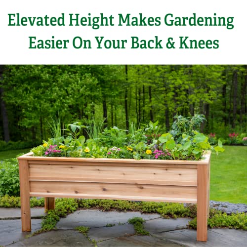 Gardener's Supply Company Craftsbury Cedar Wood Elevated Raised Garden Bed 2ft x 6ft