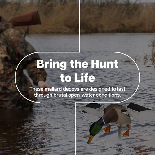 Avian-X Powerflight Smart Motion Mallard Motorized Duck Decoy 3 Pack