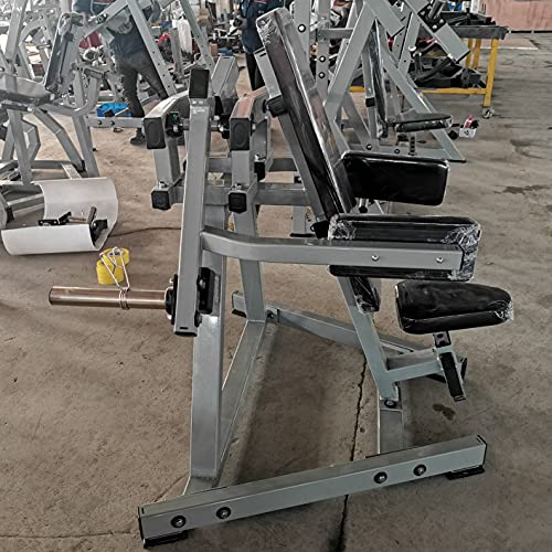 French Fitness Marin P/L Lateral Raise Machine New