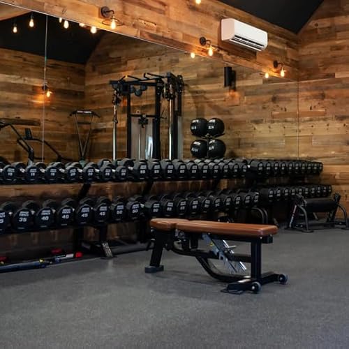 Life Fitness Hammer Strength 12-Sided Urethane Dumbbell 165Lb Black