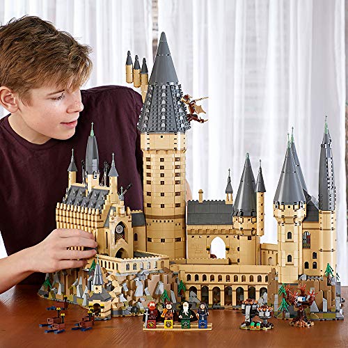 LEGO Harry Potter Hogwarts Castle 71043 Building Set Multicolor