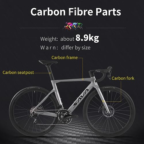 SAVADECK Carbon Road Bike Green