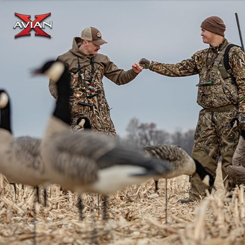 Avian-X AXP Honkers Goose Decoy Feeder with Full Body Canada Goose Decoys Multicolor