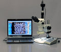 AmScope Digital Trinocular Stereo Zoom Microscope with 5MP Camera Chrome
