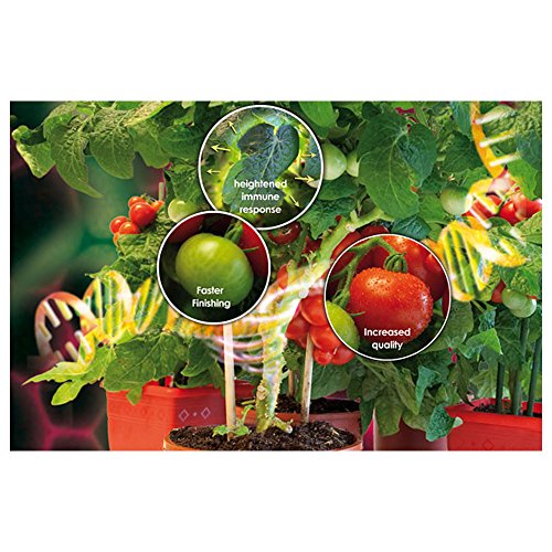 CANNA 20L CannaBoost Accelerator Plant Additive - Flower and Flavor Stimulator
