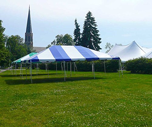 TentandTable 20-Foot x 30-Foot Tent Top Blue