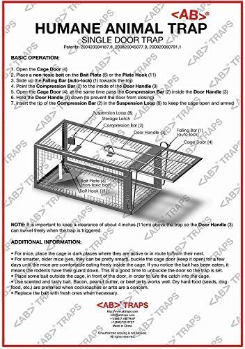 AB Traps Quality Live Animal Humane Trap for Rats, Mice, and Rodents - Small 10.5" x 5.5" x 4.5" 100-Pack