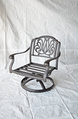 theWorldofpatio Elizabeth Cast Aluminum Swivel Rocker Club Chairs Antique Bronze