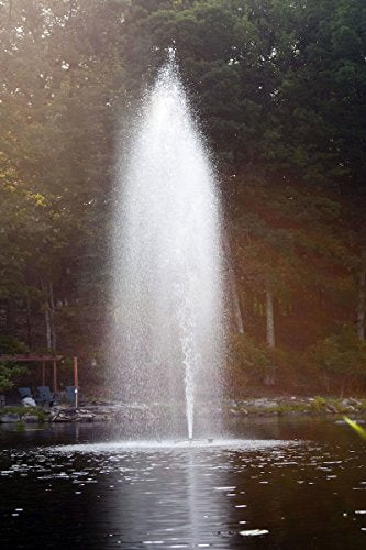 Fawn Lake Fountains 1HP Floating Pond and Lake Fountain Black