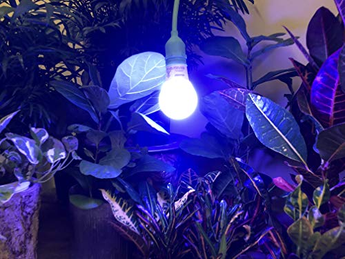 Miracle LED Under The Canopy Indoor Grow Light Kit 150W Blue Spectrum