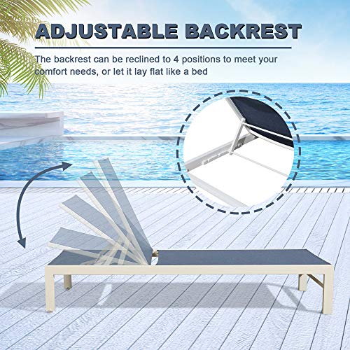 PEAK HOME FURNISHINGS 2-Piece Outdoor Aluminum Chaise Lounge Set Navy