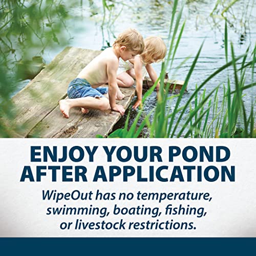 Airmax Wipeout Pond Weed Defense Herbicide 32 Ounce White
