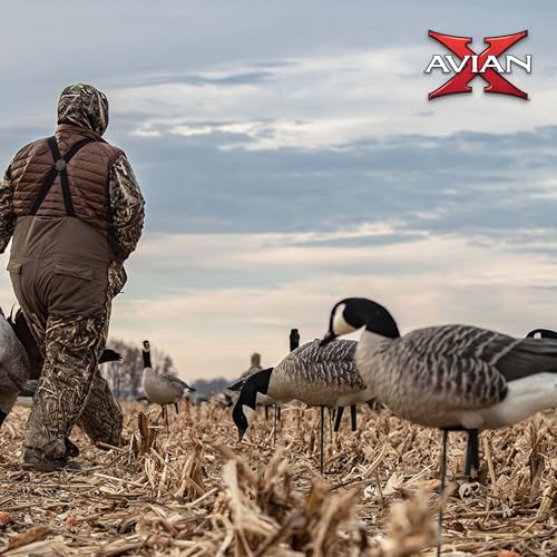 Avian-X AXP Honkers Fusion Pack Lesser Canada Goose Decoys Set of 18 Brown and White