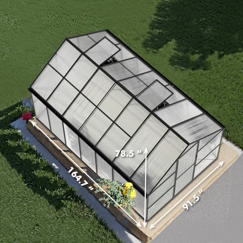 Sylviera Heavy Duty Outdoor Greenhouse with PC Panels, 8x14FT Black