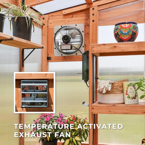 Backyard Discovery Poppy 11' x 7' Cedar Wood Greenhouse Kit Light Brown