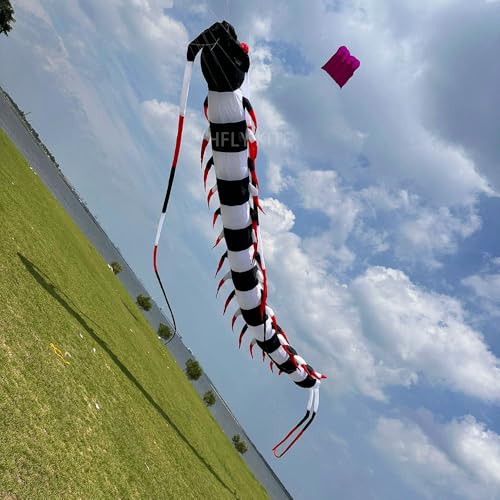 Yingfeida HFLY 59ft Large Inflatable Centipede Kite Black