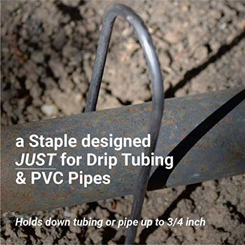 Sandbaggy Round Top 6-Inch Landscape Staples for Ground Cover & Drip Irrigation (10,000 Staples)
