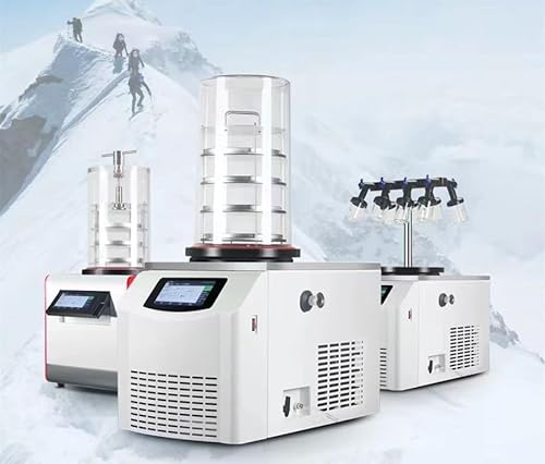 GOYOJO Laboratory Freeze Dryer Machine FSF-12N-60A for Food and Vegetables