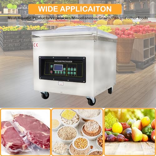 HayWHNKN Stainless Steel Vacuum Sealer for Dry & Moist Food 110V