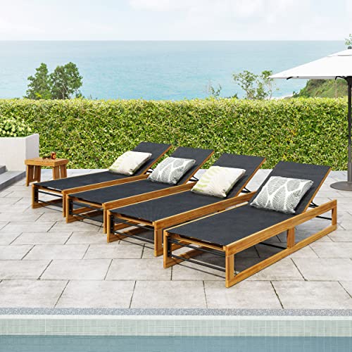 Christopher Knight Home Emile Chaise Lounge Black + Teak