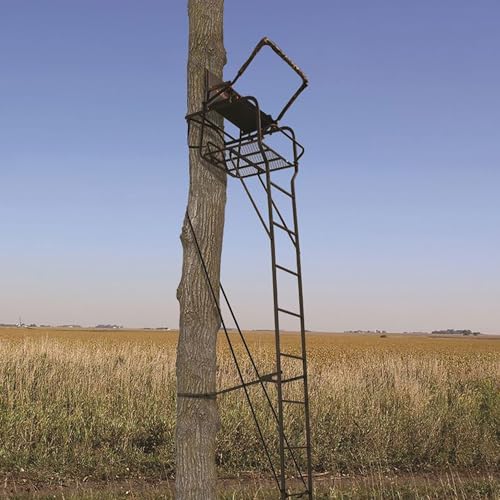 Big Game Treestands 2 Pack Hunter HD Ladder Tree Stand 18.5 Foot Black