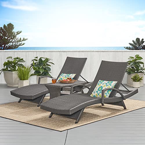 Christopher Knight Home Salem Chaise Lounge Set, 2-Piece Brown