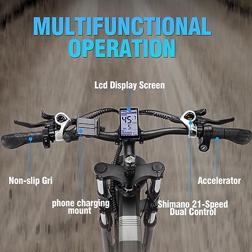 Bopzin Folding Electric Bike for Adults 26''-2000W 48V 20AH-Foldable Black
