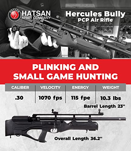 Wearable4U Hatsan HGHercBull-30 Hercules Bully .30 Caliber Air Rifle Bundle with Towel, 100 Pellets, 100 Targets Black