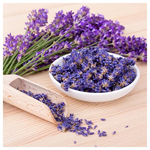 Everwilde Farms Organic Vera Lavender Herb Seeds Gold Vault Packet 1 Lb