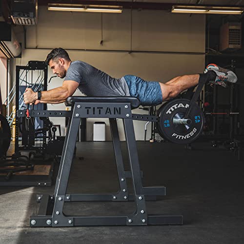 Titan Fitness H-PND Reverse Hyperextensions Lower Body Machine 550 LB Rated