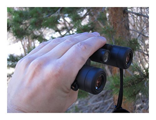 Leica Ultravid 10x25 BCR Compact Binoculars Black