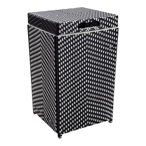 Furniture of America Azur Rattan 2-Piece Loveseat and Trash Can Set Black