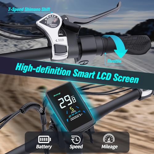 Bopzin Folding Electric Bike for Adults - Dual Motor 2000W 31MPH Ebike 20''-2000W 48V 23AH -Foldable
