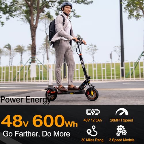 iENYRID Adults Electric Scooter 800W Motor 10" Off-Road Tires 48V 28mph Black