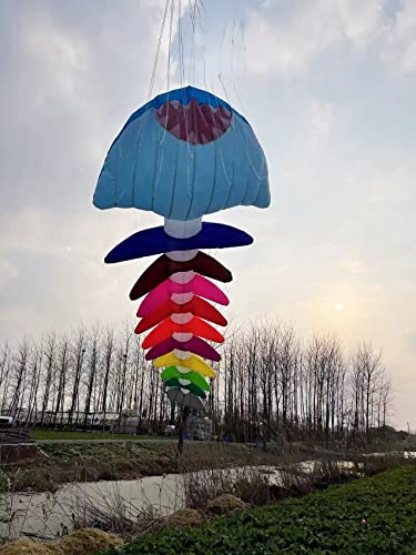 TiffyDance 10m 3D Soft Inflatable Fish Bone Kite Windsock