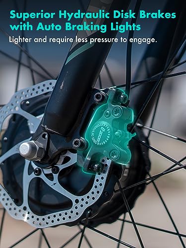 EMOJO Caddy Pro Fat Tire Electric Tricycle Hydraulic Disk Brakes Ebike Trike 7 Speed Pedal Assist 3 Wheel Electric Bike 48V 15.6Ah Battery LCD Display Apple Red