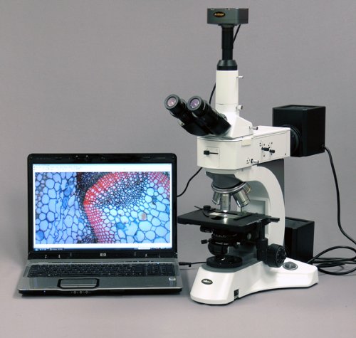 AmScope Digital Metallurgical Microscope 50X-1500X with 1.3MP Camera