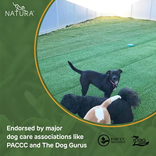 Natura Outdoor Artificial Grass for Dogs 3x45 ft Green