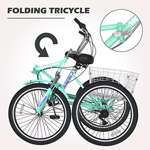 Barbella Adult Folding Tricycles Green