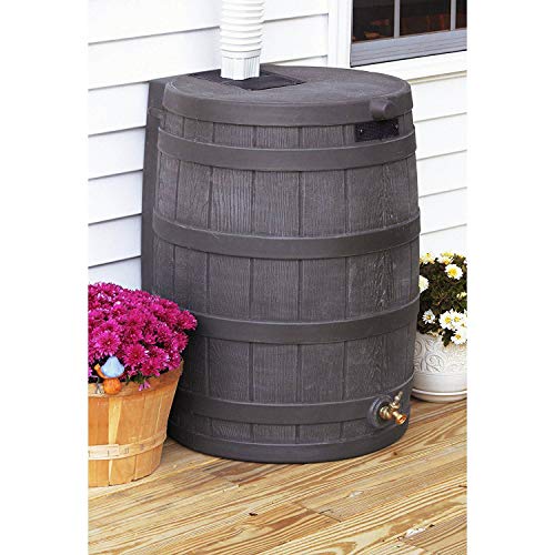 Good Ideas Rain Wizard 50 Gallon Plastic Outdoor Rain Barrel Water Collector with Brass Spigot, Oak