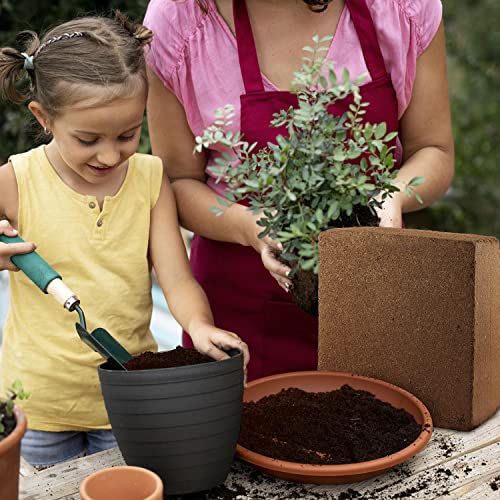 UBICON Organic Coco Coir Block - 11 lb Garden Soil for Indoor & Outdoor Use