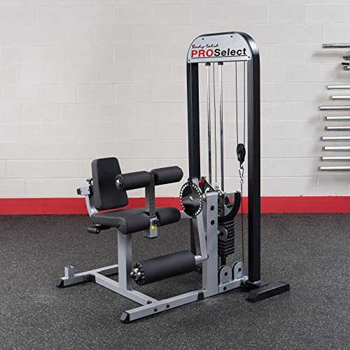 Body-Solid Leg Extension and Curl Machine with 310 lb Weight Stack Grey/Black