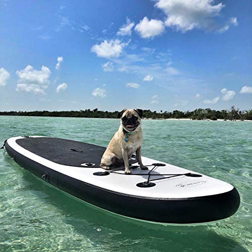 Blue Water Toys Inflatable Stand Up Paddle Board Kit Black